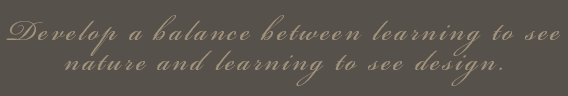 Develop a balance between learning to see nature and learning to see design.