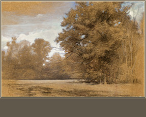 Drawing by Jeffrey Mims,  Landscape Study, Mixed media on toned paper 